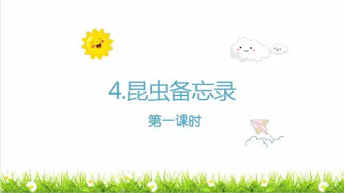 人教版三年级语文下册第一单元第4课《昆虫备忘录》教学课件