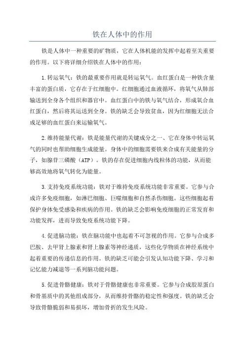 铁在人体中的作用