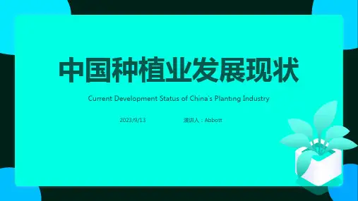 2023年中国种植业发展现状及前景展望报告模板