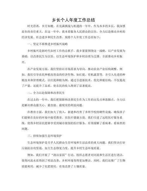 乡长个人年度总结