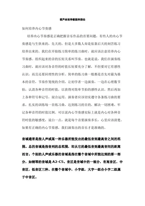 葫芦丝初学教程_（适合初学者_自学者.）