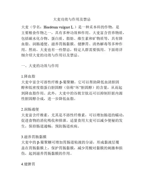大麦功效与作用及禁忌