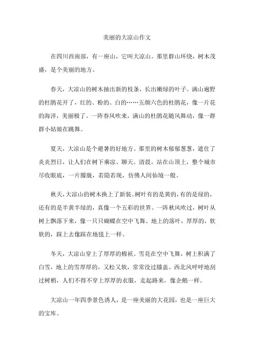 美丽的大凉山作文