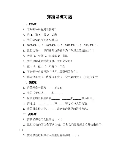 狗猫鼠练习题