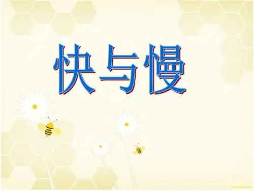 2.3快与慢