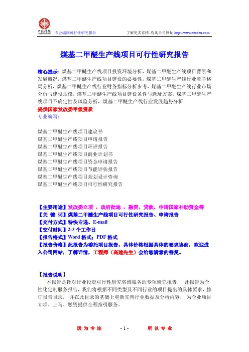 煤基二甲醚生产线项目可行性研究报告