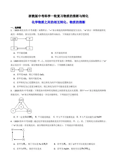 13.物质的推断与转化(练习)(原卷版)