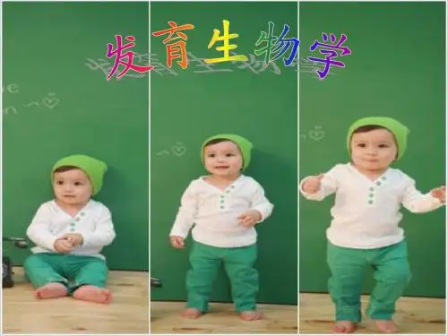 发育生物学[1]