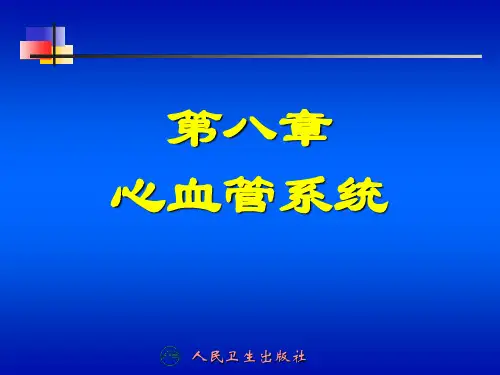 8心血管系统(上)