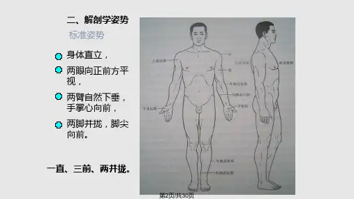 绪论骨学总论躯干骨new