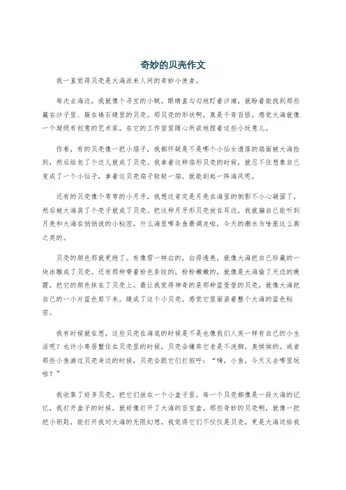 奇妙的贝壳作文
