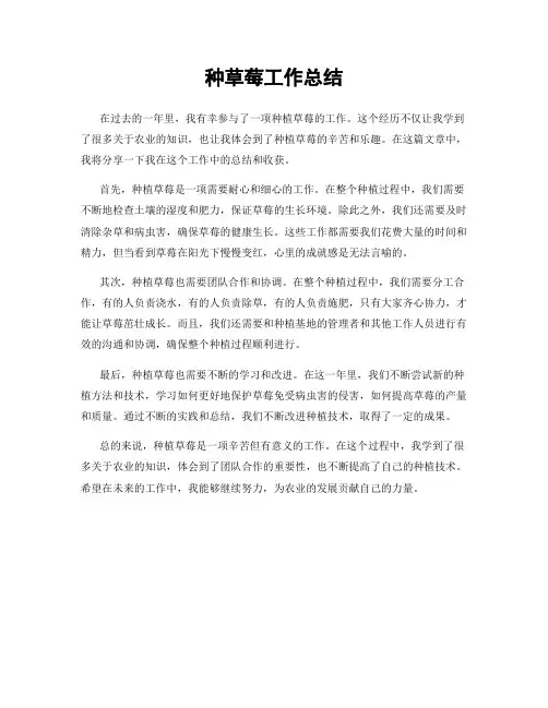 种草莓工作总结
