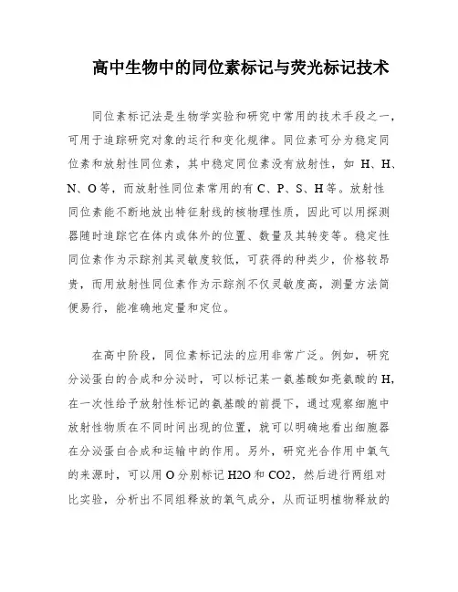 高中生物中的同位素标记与荧光标记技术