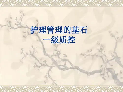 护理一级质控检查表PPT课件