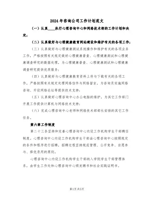 2024年咨询公司工作计划范文（二篇）
