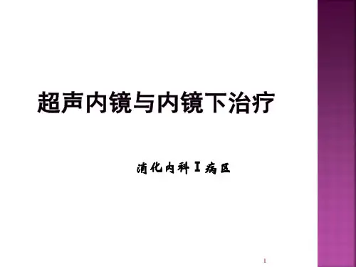 (推荐课件)超声内镜与内镜下治疗PPT幻灯片