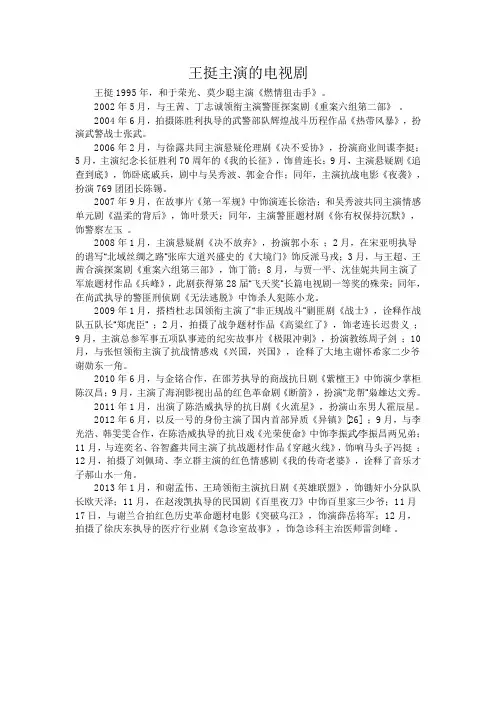 王挺主演的电视剧