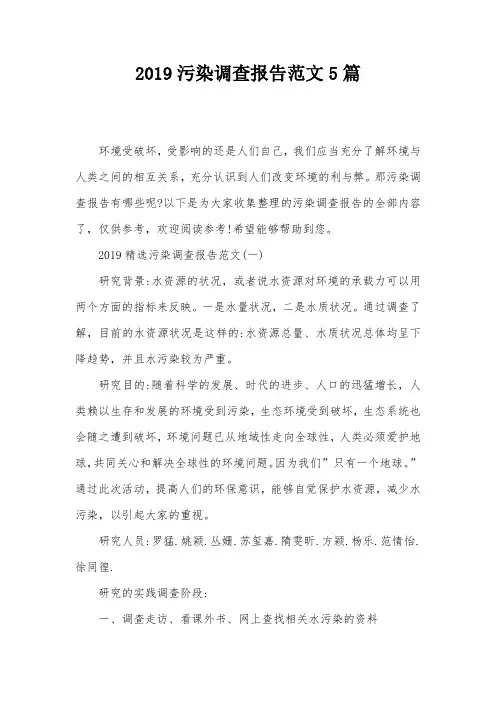 2019污染调查报告范文5篇