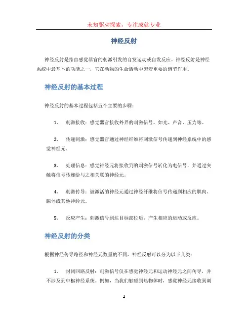 神经反射文档