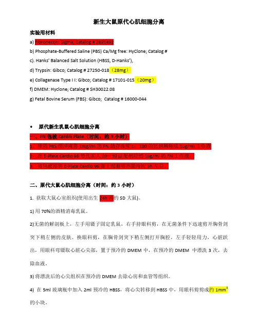 新生大鼠原代心肌细胞分离