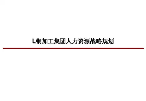 案例：L铜加工集团人力资源战略规划