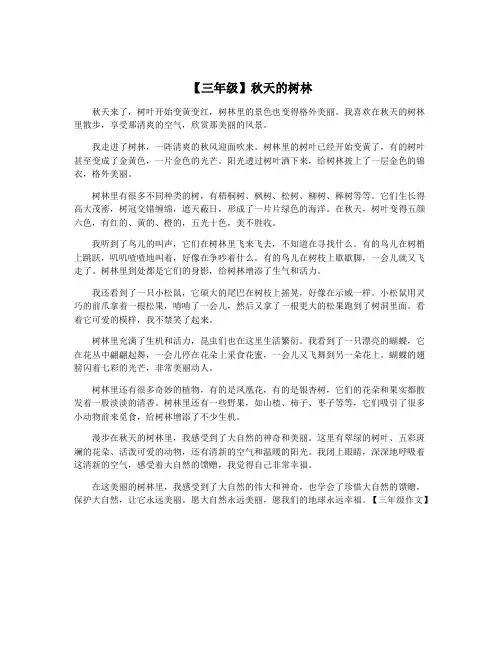 【三年级】秋天的树林