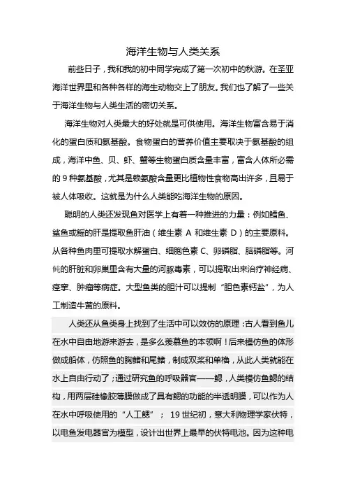 海洋生物与人类关系