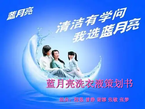 蓝月亮整合营销传播策划书