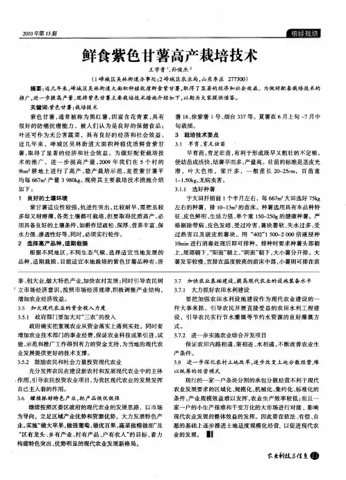 鲜食紫色甘薯高产栽培技术