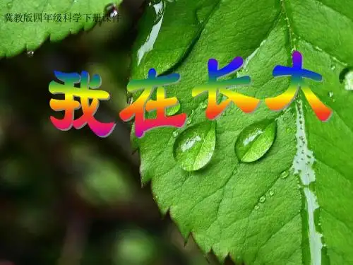四年级下科学课件-我在长大-冀教版