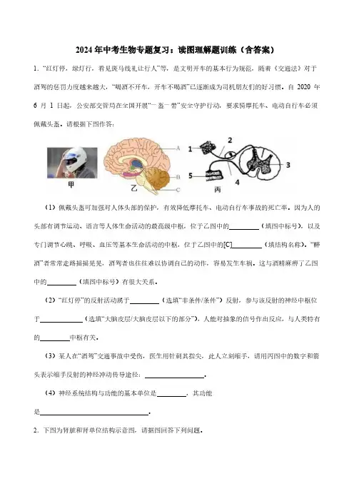 2024年中考生物专题复习：读图理解题训练(含答案)