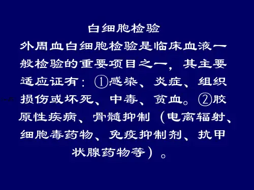 白细胞检验