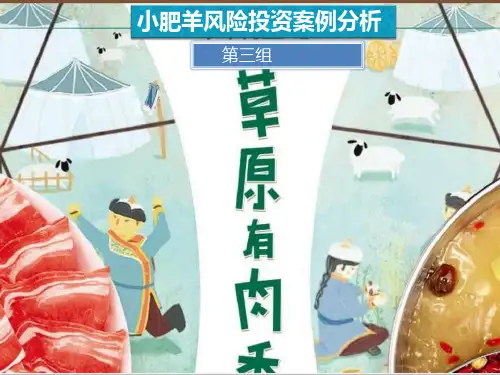 小肥羊风险投资案例分析