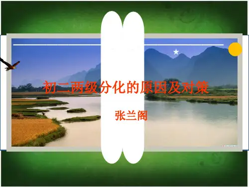 初二两级分化的原因及对策