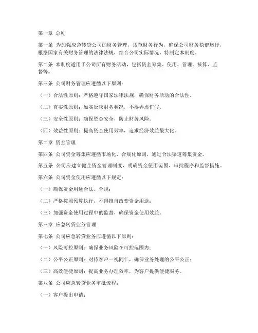 应急转贷公司财务管理制度