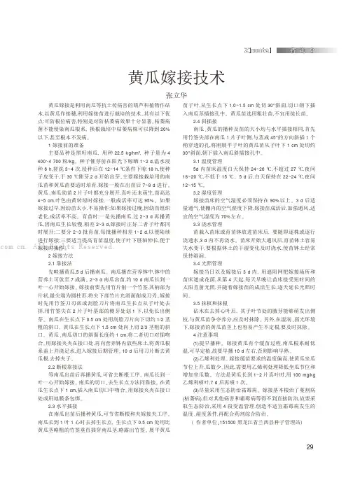 黄瓜嫁接技术