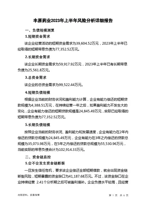 000153丰原药业2023年上半年财务风险分析详细报告