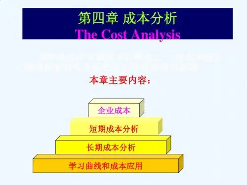 成本分析