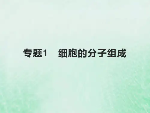 高考生物基础知识综合复习第一单元细胞的分子组成与结构专题1细胞的分子组成课件