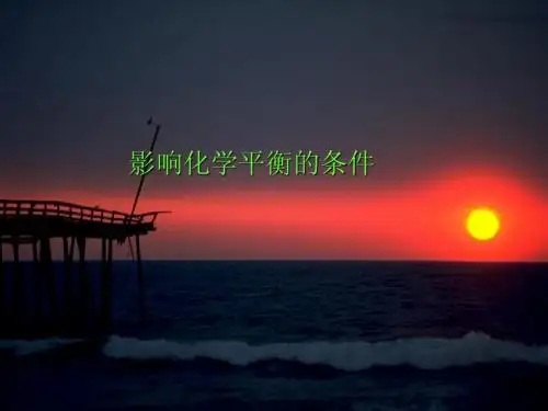 影响化学平衡的因素