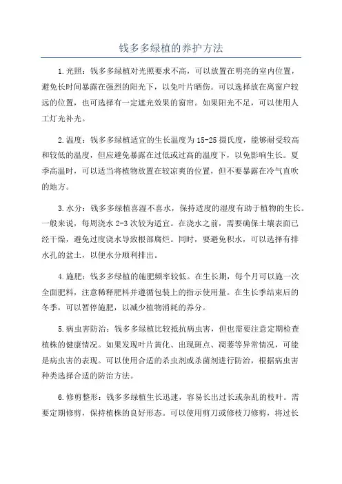 钱多多绿植的养护方法