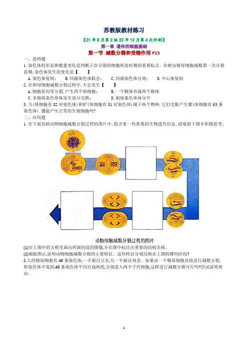 高中生物学必修2《遗传与进化》苏教版19版新教材本节和本章练习及参考答案(整理)