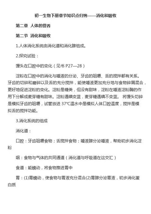 七年级下册生物消化与吸收
