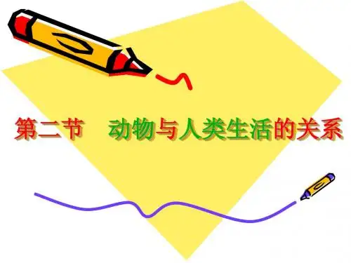 动物与人类生活的关系