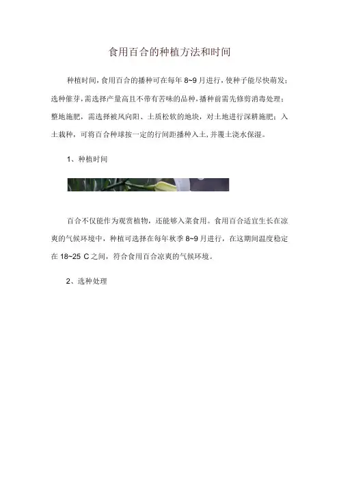 食用百合的种植方法和时间