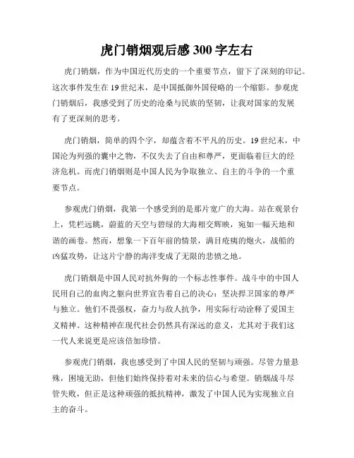 虎门销烟观后感300字左右