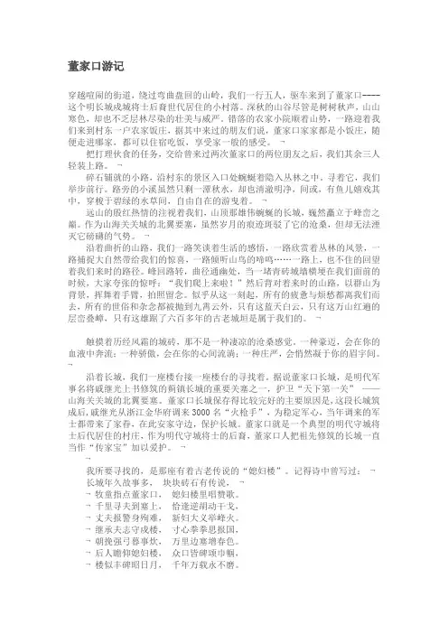 董家口游记
