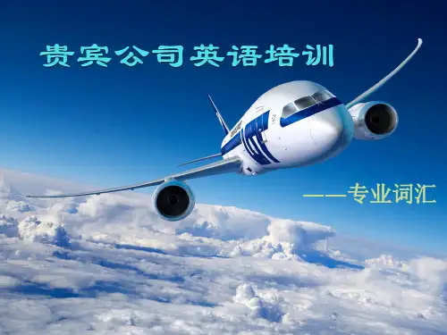 民航地面服务英语词汇