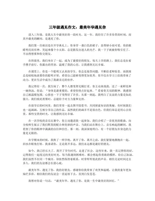 三年级遇见作文：最美年华遇见你