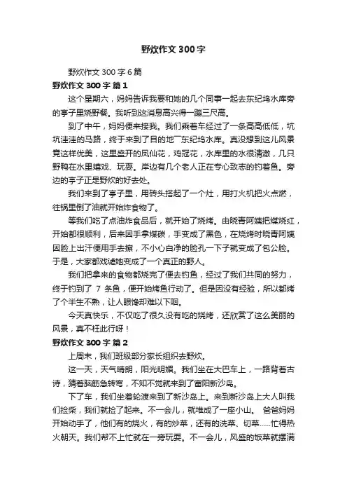 野炊作文300字6篇